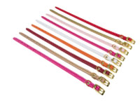 Амуниция для собак